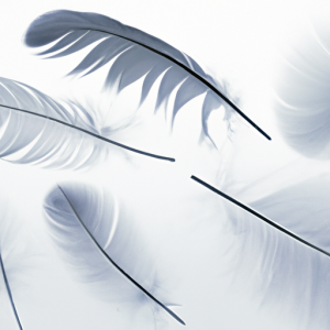 먹튀검증의 모든 것: 안전한 온라인 베팅을 위한 필수 가이드